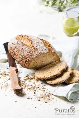 Softgrain Golden 6 Granos y Semillas
